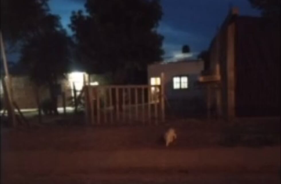 Usurparon su casa y ahora quieren vender el terreno