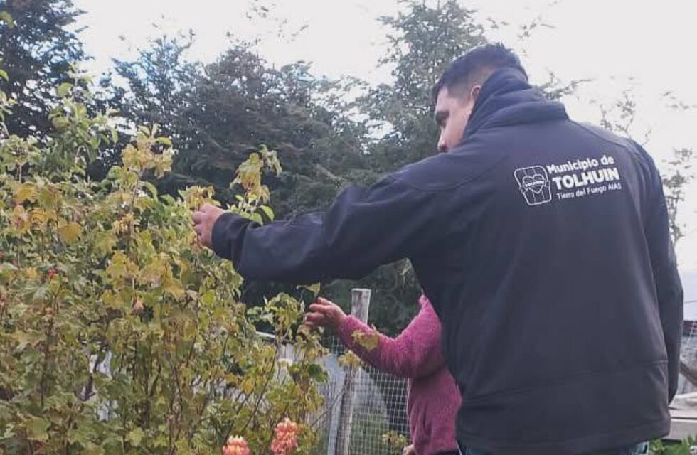 Tolhuin fortalece el trabajo de sus productores locales