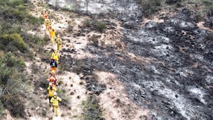 Bomberos incansables ante el feroz fuego en el piedemonte mendocinos.