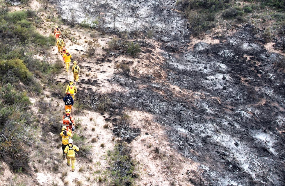Incendios en Mendoza tras el Zonda: cómo está la situación actual en el piedemonte