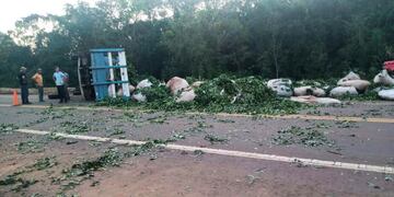 San Vicente: camión que transportaba hoja verde volcó y perdió su carga.