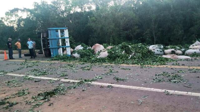 San Vicente: camión que transportaba hoja verde volcó y perdió su carga.