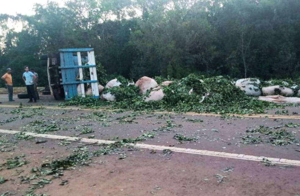 San Vicente: camión que transportaba hoja verde volcó y perdió su carga