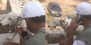 El video se hizo viral y en menos de un día ya sumaba más de 150 mil reproducciones.