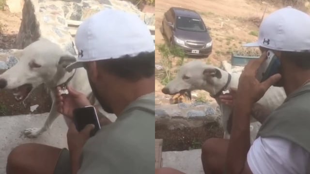 El video se hizo viral y en menos de un día ya sumaba más de 150 mil reproducciones.