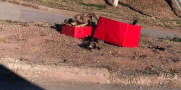 La "ofrenda" contenía aves muertas y la cabeza de una cabra (se desconoce si real o de juguete).