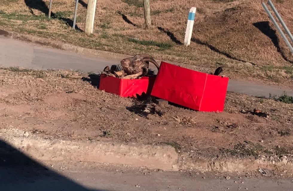 Córdoba: el aterrador ritual que apareció en una calle de Villa Esquiú