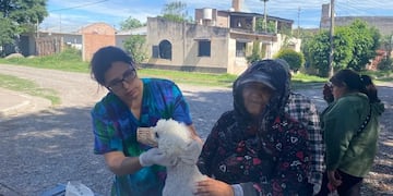 Los perros no transmiten leishmaniasis a los humanos, pero si son picados por un flebótomo infectado, contraen la enfermedad y pueden ser parte de la cadena de transmisión.