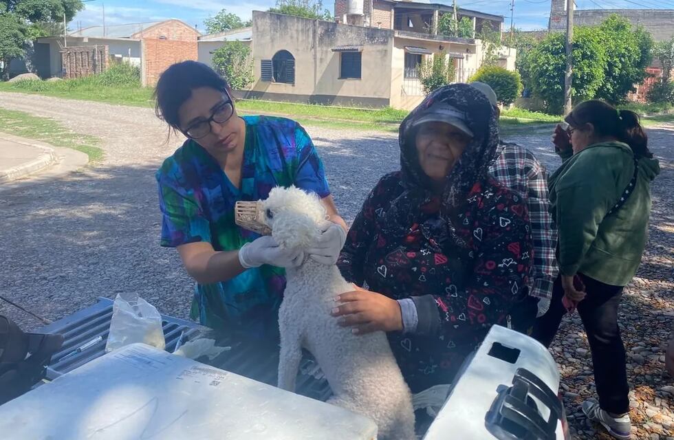 Leishmaniasis visceral: personal de salud de Jujuy asistió a capacitación en Salta