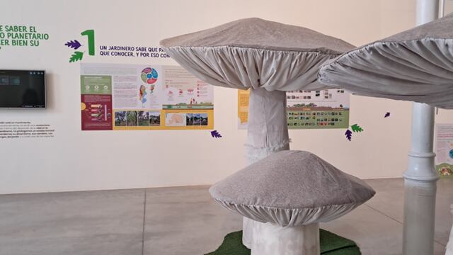 “Experimenta Naturaleza” en el Viejo Mercado