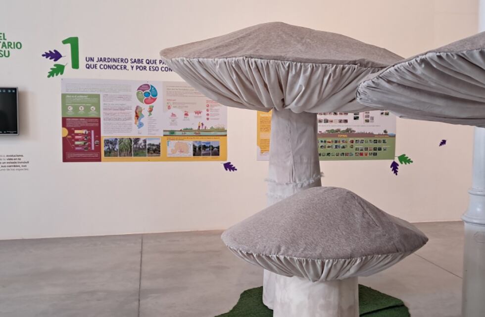 Se inaugura Experimenta Naturaleza en el CCVM