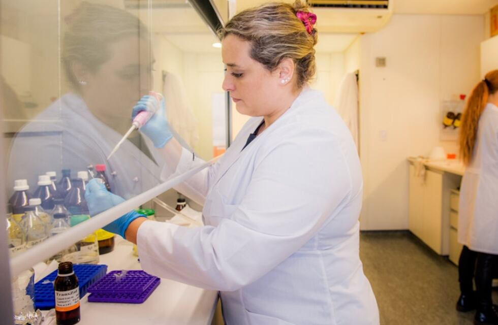 Habrá jornadas de reflexión por el “Día Internacional de la Mujer y la Niña en la Ciencia”