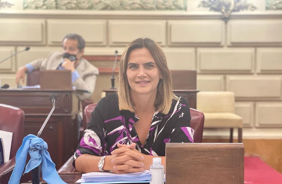 Amalia Granata hizo una denuncia penal porque la trataron de “delincuente”