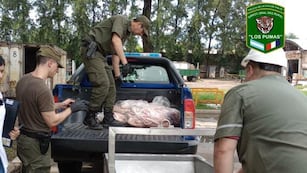 Material secuestrado durante la faena clandestina