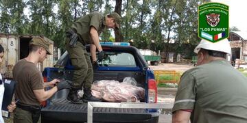 Material secuestrado durante la faena clandestina