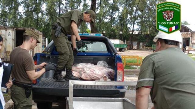 Material secuestrado durante la faena clandestina