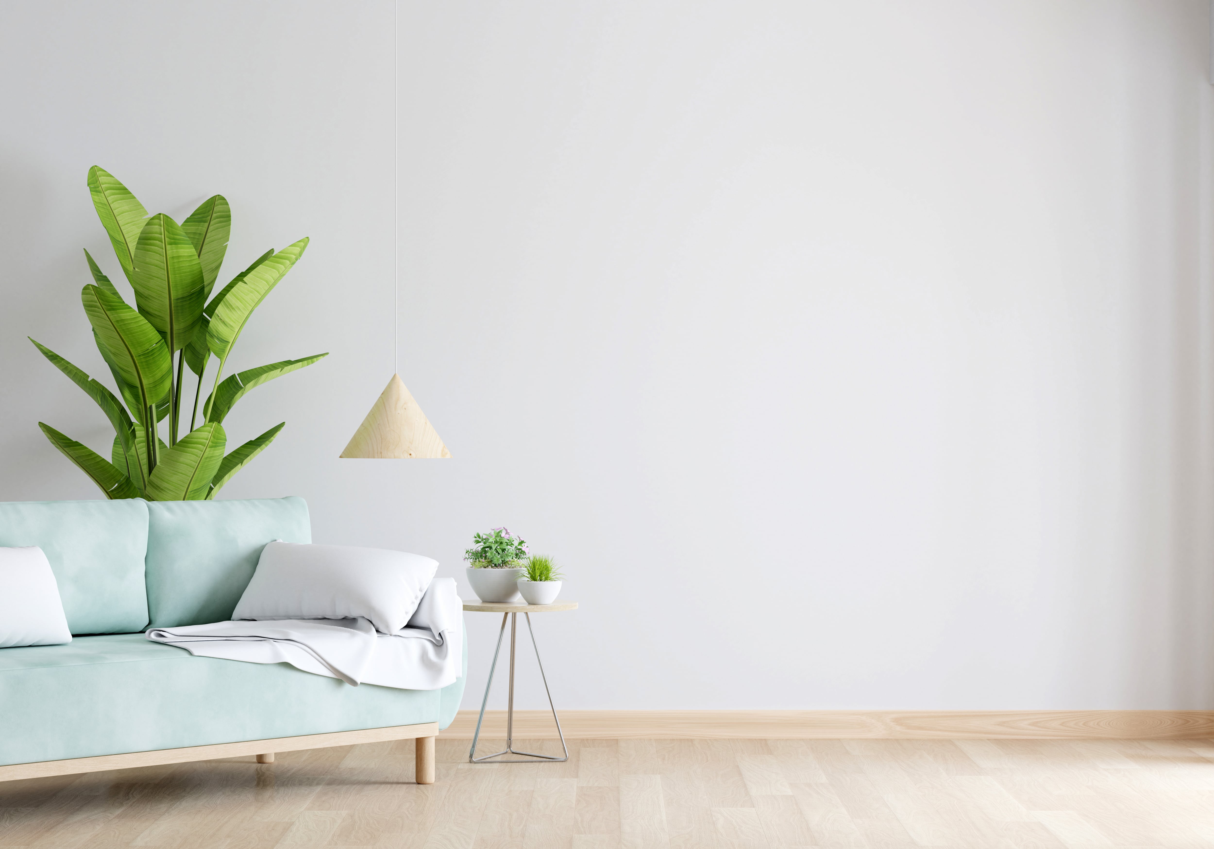 Decoración y limpieza interna del hogar.