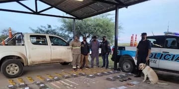 La Policía detuvo a una banda que intentaba transportar marihuana a distintas provincias.