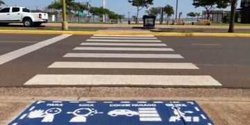 Posadas inclusiva: pintan pictogramas en algunas zonas de la ciudad.