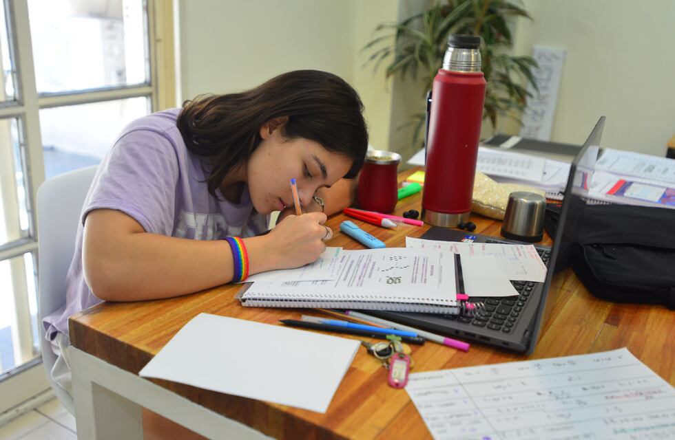 Tres Arroyos: Llega “Tresa Estudia” un portal para estudiantes