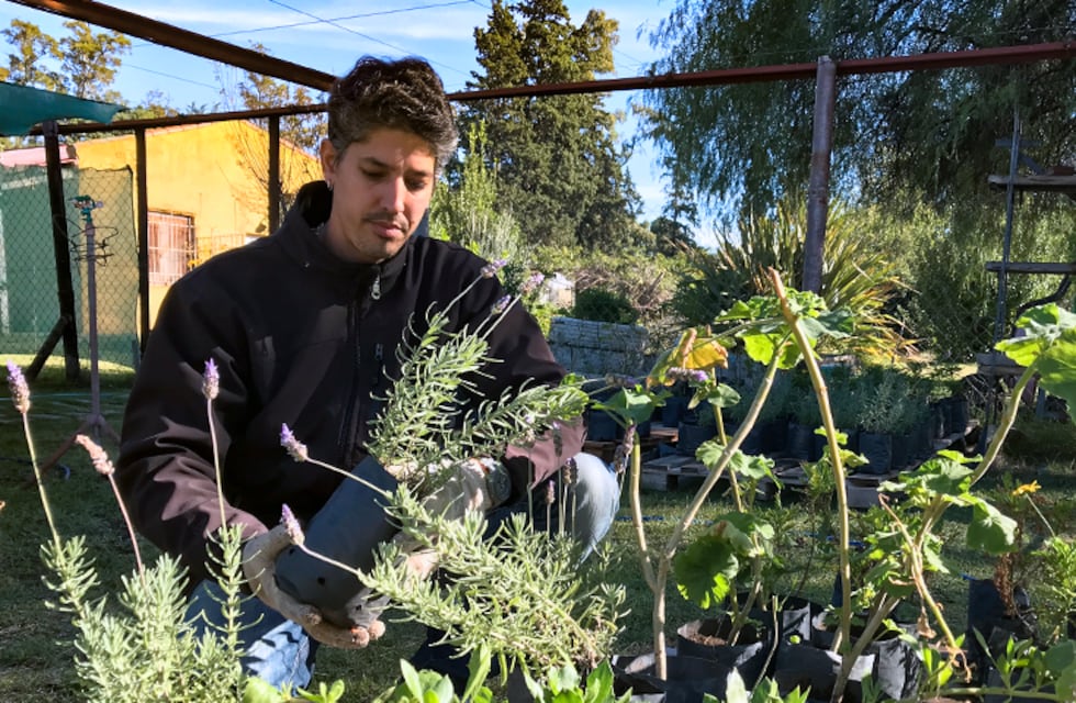 Puerto Belgrano: “Plantar un árbol desde la semilla y verlo crecer a diario es emocionante”