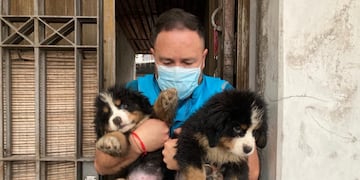 Desbarataron un criadero ilegal en Nueva Pompeya.