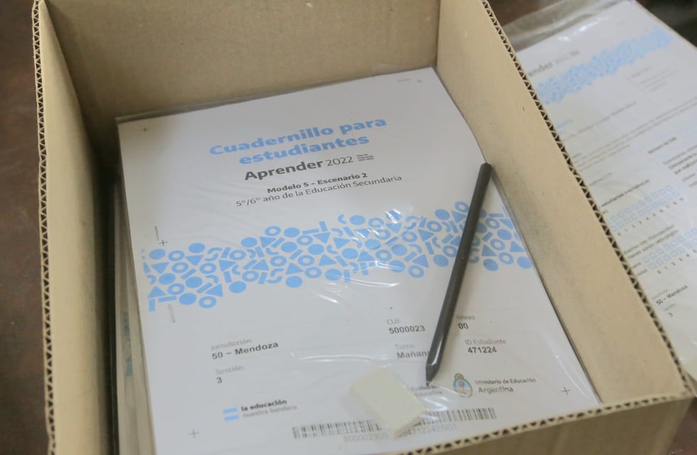 Pruebas Aprender 2022: cuáles fueron los resultados en cada provincia