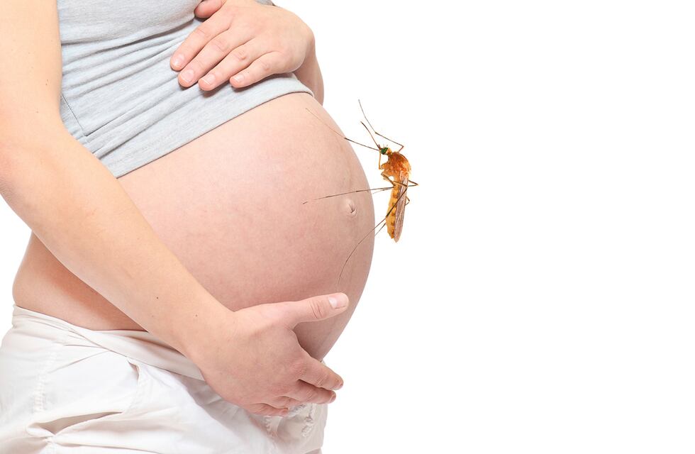 Dengue en el embarazo: Riesgos y precauciones
