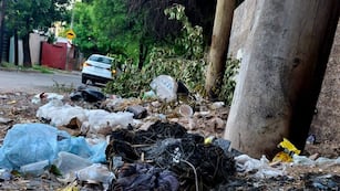 Hallaron restos humanos en un baldío de Córdoba.