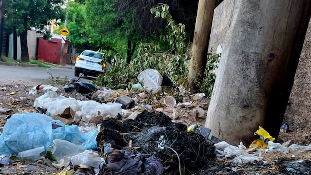 Hallaron restos humanos en un baldío de Córdoba.