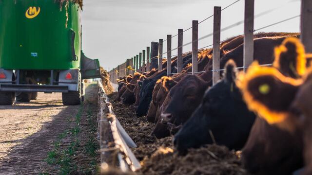 La industria metalúrgica también tiene un gran cliente en la ganadería, a través de la producción de mixers y otros implementos para los feedlots.