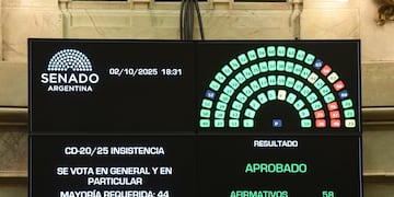 El Senado rechazó el veto al financiamiento universitario (Foto: Comunicación Senado)