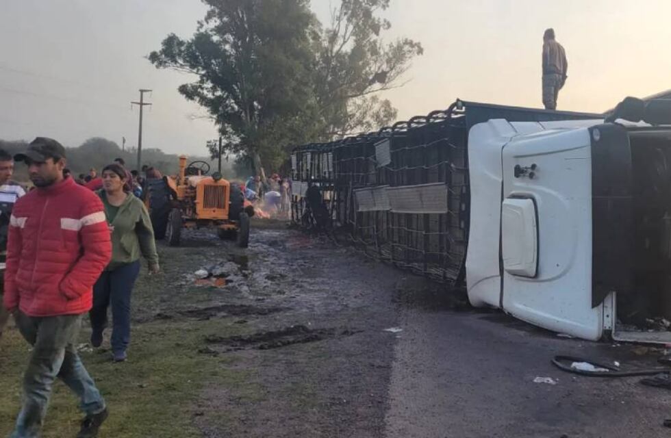 Un camionero volcó en Calchaquí y carnearon a las vacas en plena ruta 11