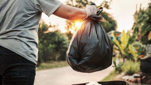 Recolección de basura en Tandil: uno por uno, los contenedores que funcionarán desde el 18 de julio