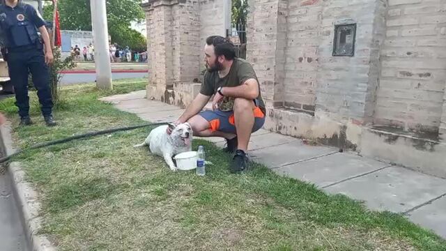 El pequeño animal debió ser rescatado de un incendio doméstico.