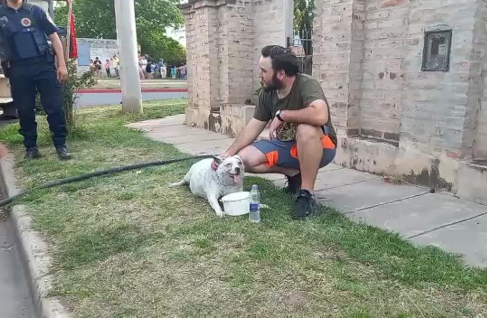 Video estremecedor: bomberos salvaron a un perro de un voraz incendio en Córdoba