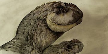 La National Geographic compartió el nuevo descubrimiento de un dinosaurio en Roca