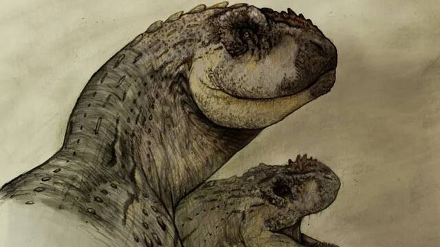 La National Geographic compartió el nuevo descubrimiento de un dinosaurio en Roca