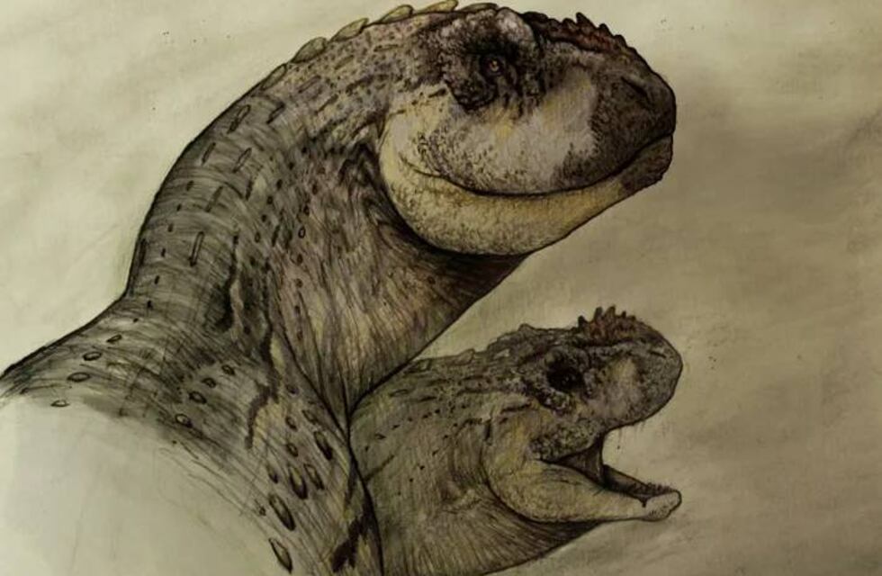 La National Geographic compartió el nuevo descubrimiento de un dinosaurio en Roca