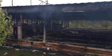El fuego mató a 13.000 pollitos en Tinoco (El Doce).