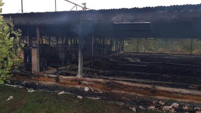 El fuego mató a 13.000 pollitos en Tinoco (El Doce).