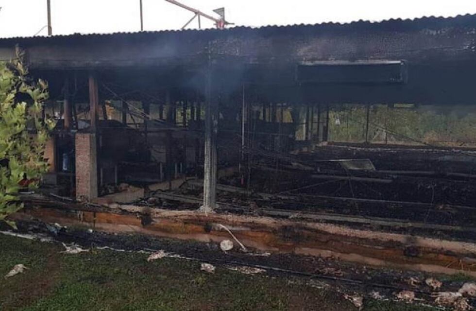 Córdoba: más de 10.000 pollos mueren en incendio de un criadero