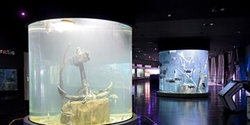 Reabre el Acuario Río Paraná (Gobierno de Santa Fe)