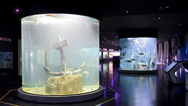 Reabre el Acuario Río Paraná (Gobierno de Santa Fe)