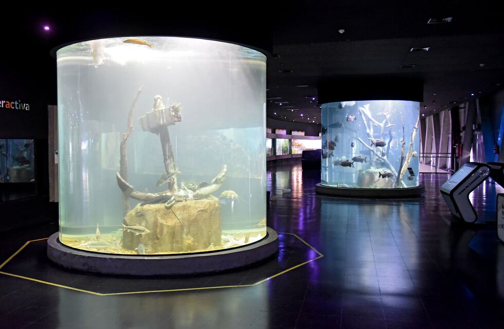 Reabre el Acuario, que anunció la regularización de la situación laboral de sus trabajadores