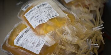 A partir de ahora, se puede donar plasma en Rafaela
Foto: Ignacio Blanco / Los Andes