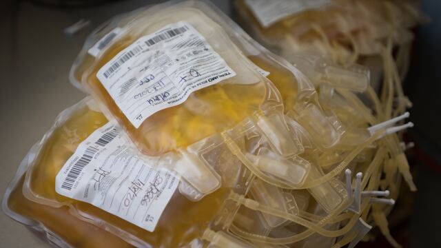 A partir de ahora, se puede donar plasma en Rafaela
Foto: Ignacio Blanco / Los Andes