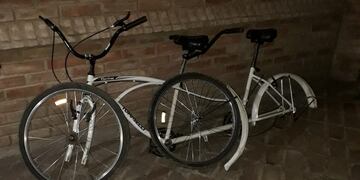 Bicicleta robada al escultor Raúl Ortiz