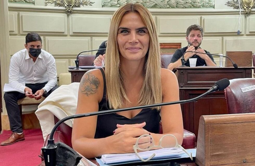 Amalia Granata propuso no cobrar los honorarios a querellantes de causas por violencia de género