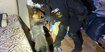 Allanamiento en barrio Cabildo de la ciudad de Córdoba. (Foto: MPF)